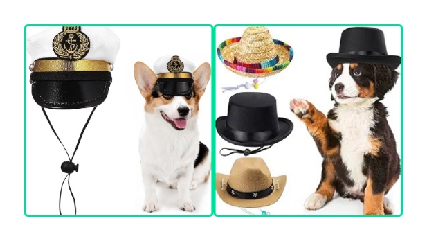 summer product: Pet Hat