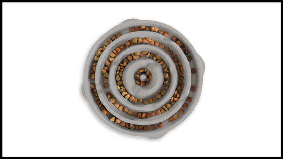 Slow Feeder Bowl
