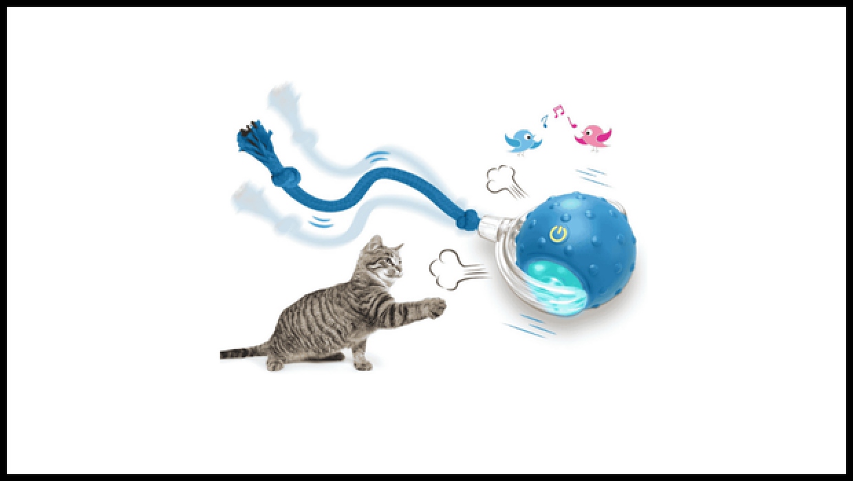 Interactive Cat Toys