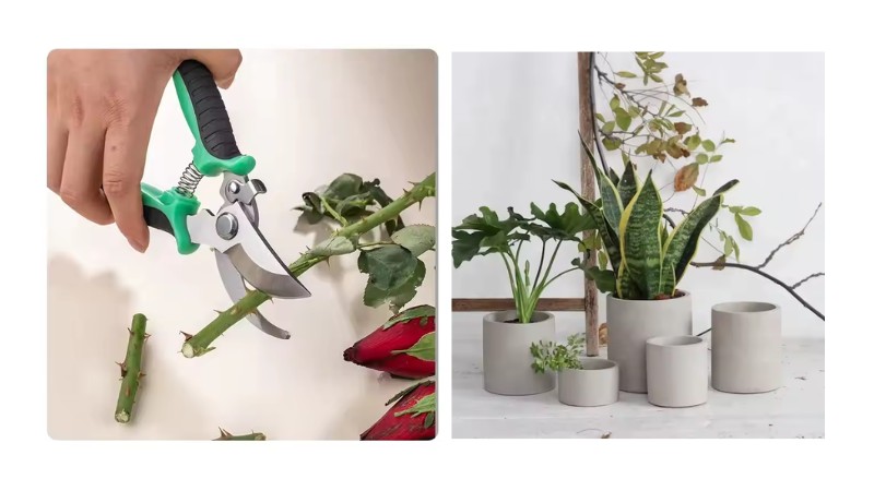 Home and garden products