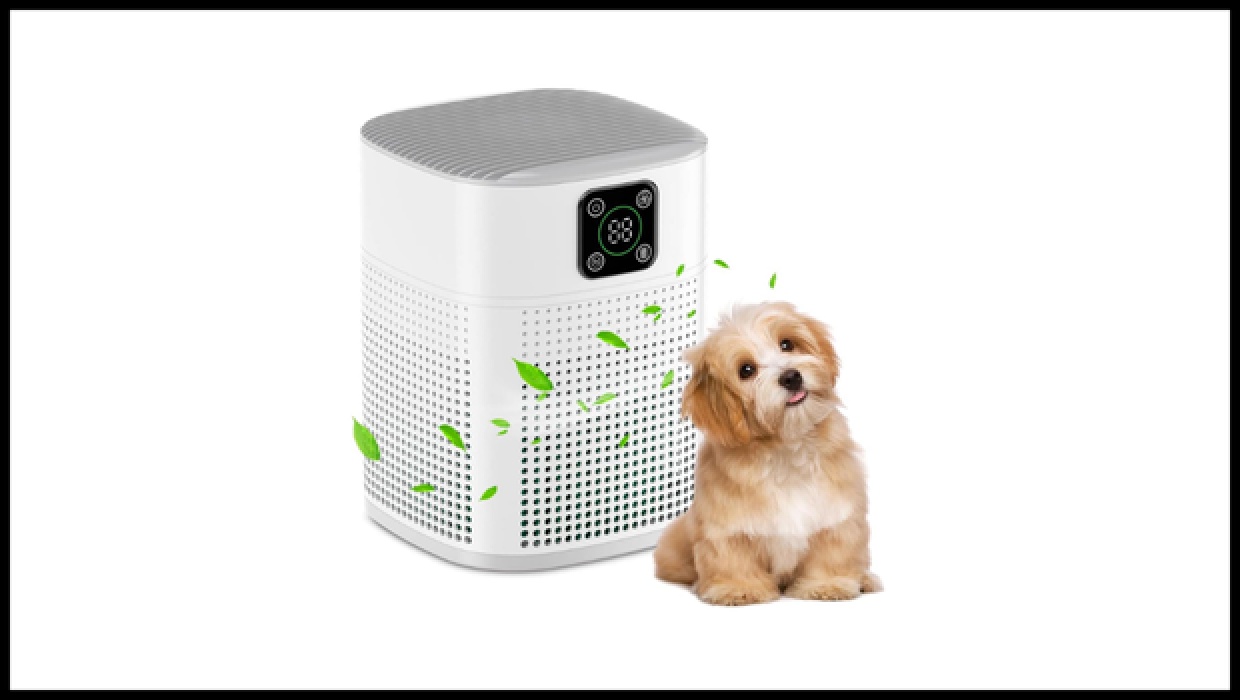 Pet Air Purifier