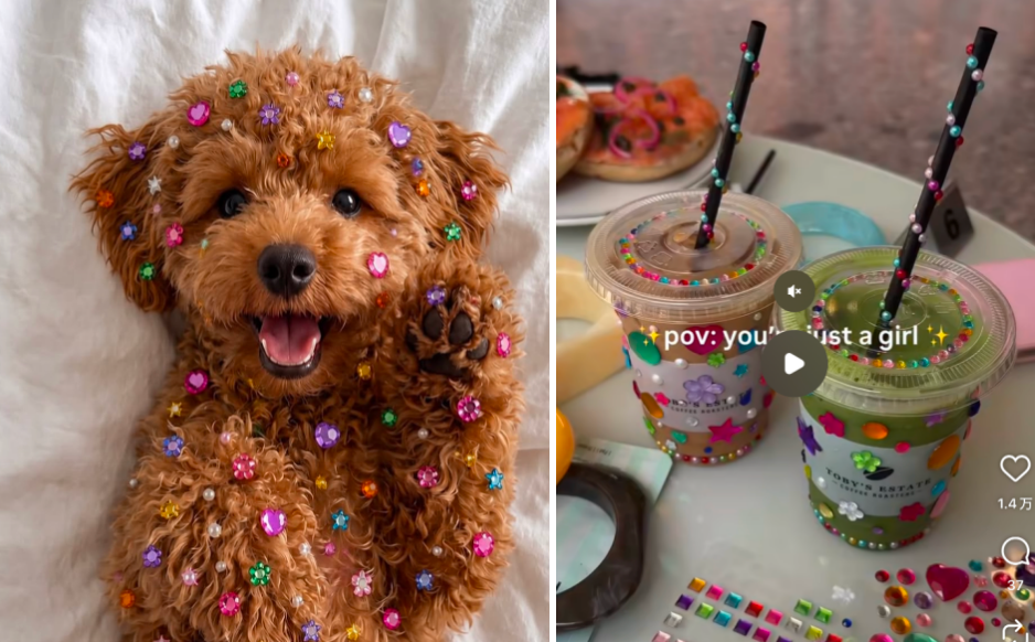 bedazzled customization