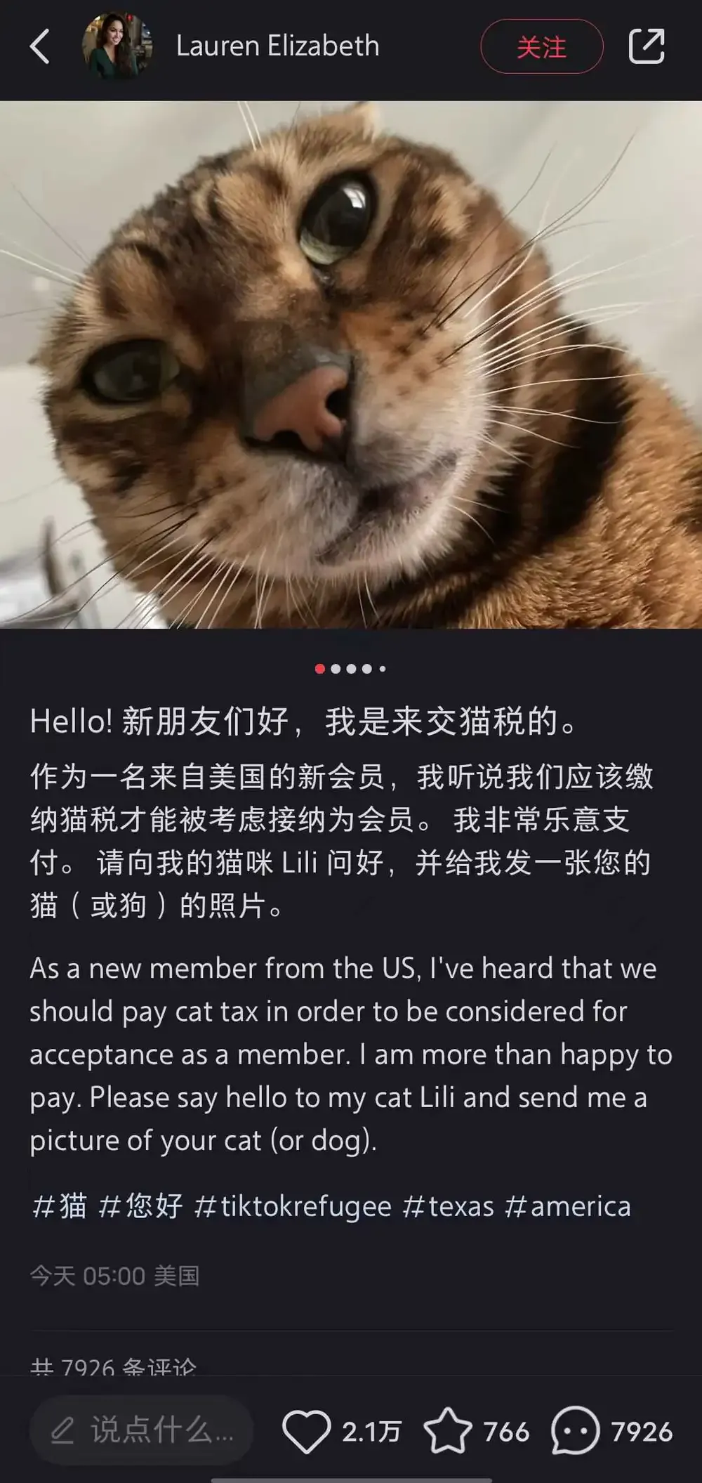 American users posting cat photos on Rednote as a cat tax greeting