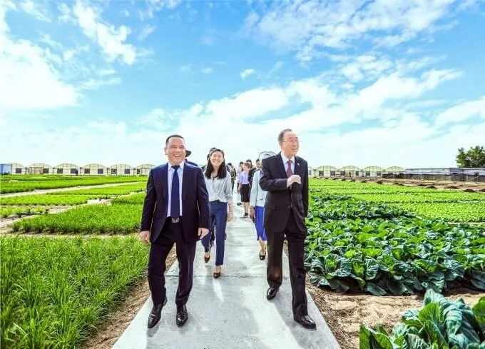 温超自建农场