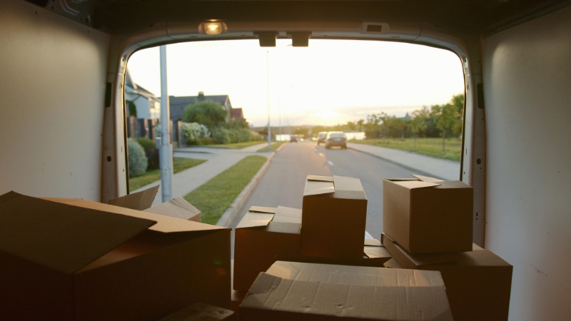 shipping and dilivery