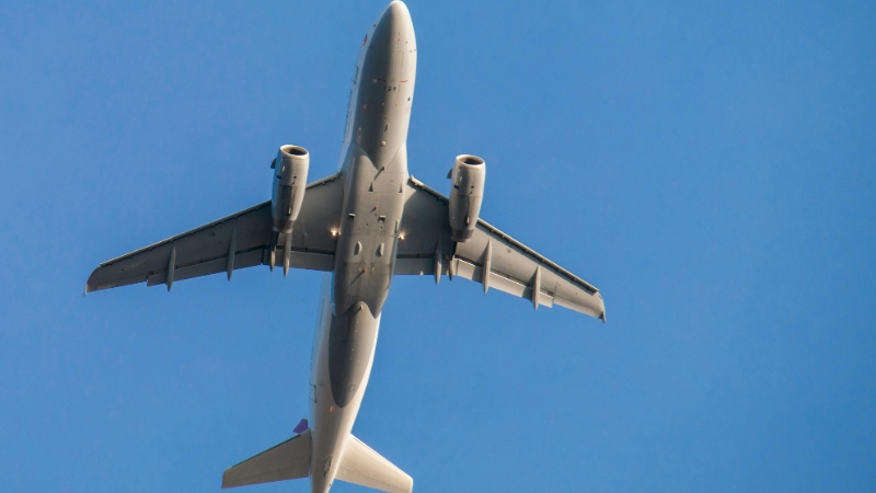 Air Freight vs. Sea Freight