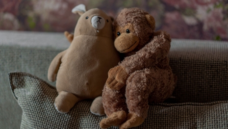 Christmas & Black Friday: Top 6 Best-Selling Products to Sell