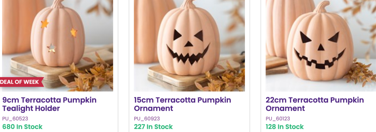 Small terracotta pumpkins wholesale assortment for retail fall displays